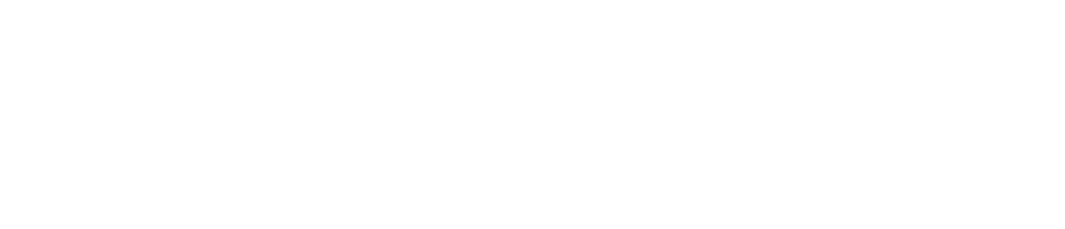 Falcone Logo